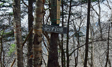 DSC_0180.jpg