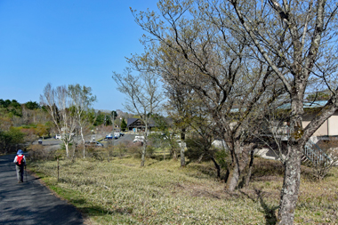 DSC_0207.jpg