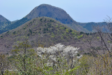DSC_0297.jpg