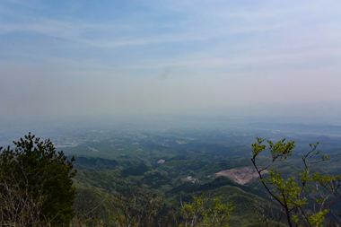 DSC_0315.jpg