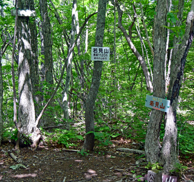 DSC_0521.jpg