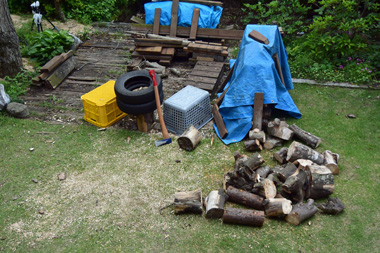 DSC_0558.jpg