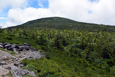 DSC_0991.jpg