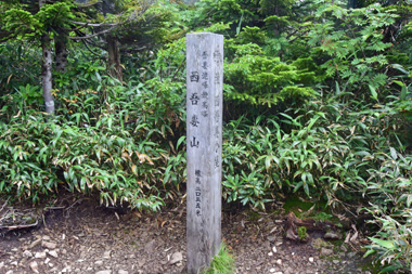 DSC_1003.jpg