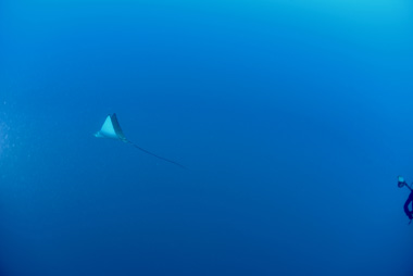 DSC_5988.jpg