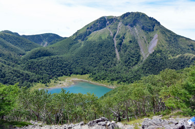 DSC_1194.jpg