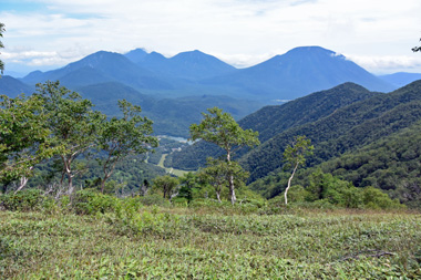 DSC_1195.jpg