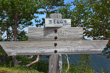DSC_1205.jpg