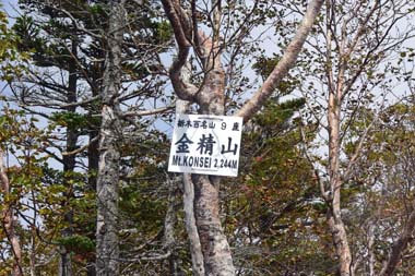 DSC_1417.jpg