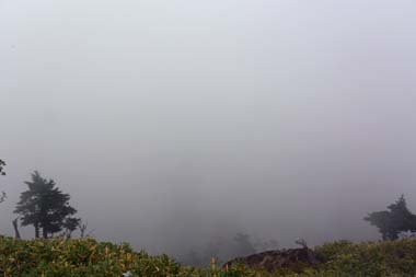 DSC_1421.jpg