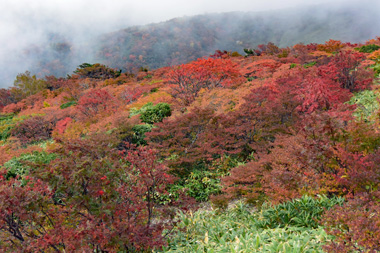 DSC_1527.jpg