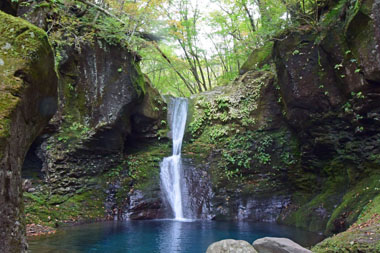 DSC_1637.jpg