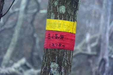 DSC_1775.jpg