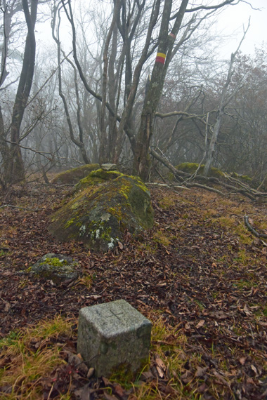 DSC_1778.jpg