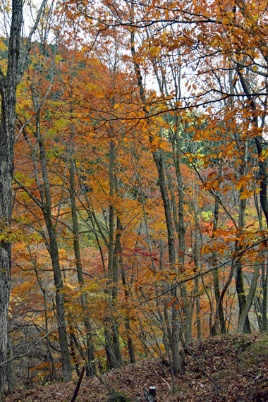 DSC_1790.jpg