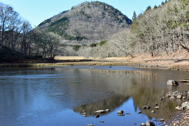DSC_1974.jpg