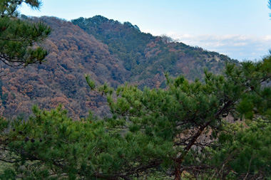 DSC_2047.jpg