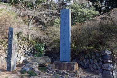 DSC_2217.jpg